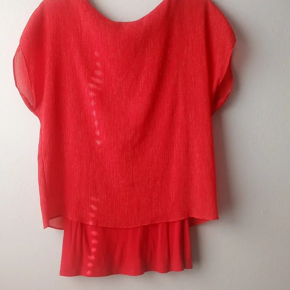 Express short sleeve Top w/overlay - Picture 4 of 8